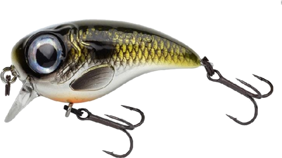 
SPRO, 
Spro Fat Iris 40 Shad 4cm 5,4g, 
Detail 1
