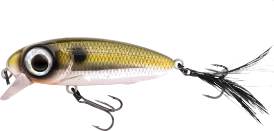 
SPRO, 
Spro Iris Underdog Shad 13g 7cm, 
Detail 1
