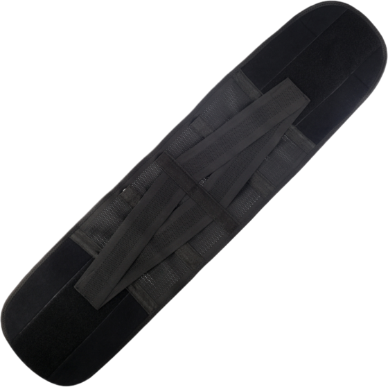 
ONAMASTE, 
Support Belt, 
Detail 1
