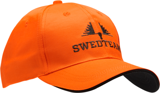 
SWEDTEAM, 
Swedteam Logo, 
Detail 1

