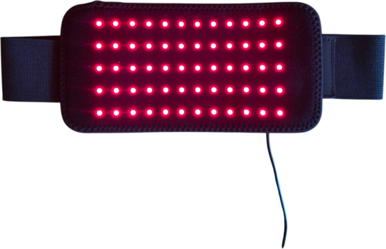947863101101 NUTRILIGHT The Red Salamander - Limited Edition!  Standard Detail
