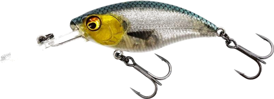
WESTIN, 
Westin Buzzbite Crankbait 5cm 6g Suspending 3d Headlight, 
Detail 1
