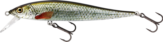 
WESTIN, 
Westin Jerkbite Sr Jerkbait 9cm 8g Suspending Real Roach, 
Detail 1
