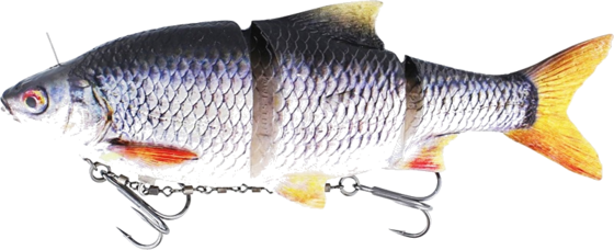 954006101101 WESTIN Westin Ricky The Roach Inline 15cm 52g Sinking Real Roach 1pcs  Standard Detail