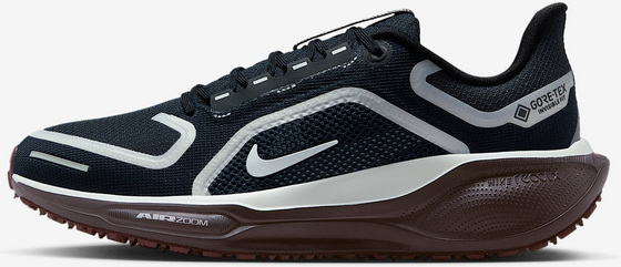 398740505501 NIKE Women's Waterproof Road Running Shoes Pegasus 41 Gore-tex  Standard Detail