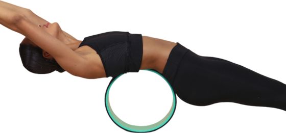 
ONAMASTE, 
Yoga Wheel, 
Detail 1
