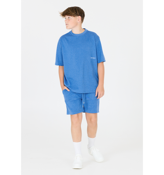 
LESARCS, 
Ziv, 
Detail 1
