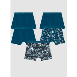 953634101101 FRANK DANDY 5-pack Wasteland Boxers  Standard Small1x1