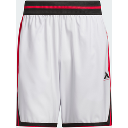 Adidas Adidas Crazy Lite Shorts - DASH GREY / PURE RUBY Standard Small1x1