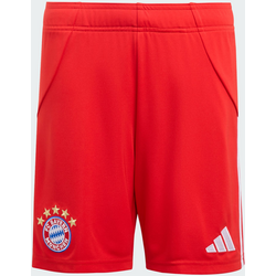 951074101101 ADIDAS Adidas Bayern München 25/26 Hemmashorts För Barn  Standard Small1x1