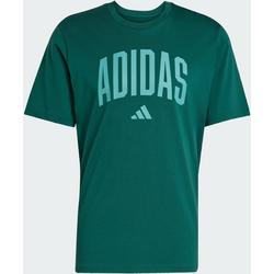 Adidas Collegiate Lineage Graphic Tee