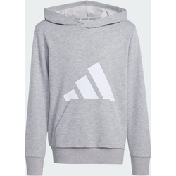 938718104101 ADIDAS Adidas Essentials Hoodie 938718104101 ADIDAS Adidas Essentials Hoodie Standard Small1x1