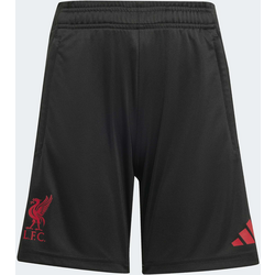 951889101101 ADIDAS Adidas Liverpool Fc Tiro 25 Competition Träningsshorts För Barn  Standard Small1x1
