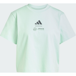 Adidas Mercedes - Amg Petronas Formula One Team Pikétröja - FROZEN GREEN / GREY STRATA Standard Small1x1