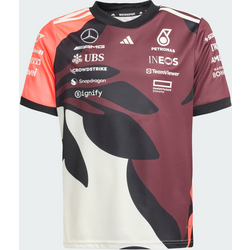 Adidas Mercedes - Amg Petronas Formula One Team Summer Pack Förartröja För Barn
