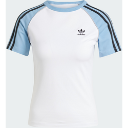 945370103101 ADIDAS ORIGINALS Adidas Originals Adicolor 3-stripes Raglan Slim T-shirt  Standard Small1x1