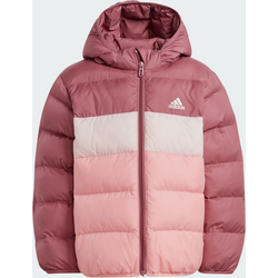 927430103101 ADIDAS Adidas Synthetic Down Jacka  Standard Small1x1