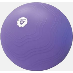 919109101101 LIVEPRO Anti-burst Core Fit Exercise Ball 55cm  Standard Small1x1
