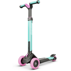 Berg Nexo Foldable - MINT Standard Small1x1