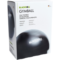 910373101101 BLACKROLL Blackroll Gymball  Standard Small1x1