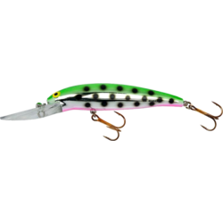 928872101101 BOMBER LURES Bomber B24a Deep Long A 12g 9cm - Sal140  Standard Small1x1