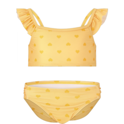 954147105102 ZIGZAG Carly Bikini  Standard Small1x1