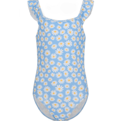 954156105101 ZIGZAG Carly Swimsuit  Standard Small1x1