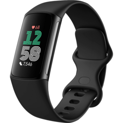 939999103101 FITBIT Charge 6  Standard Small1x1