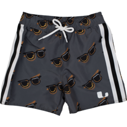 Dexter Beach Shorts - GREY Standard Small1x1
