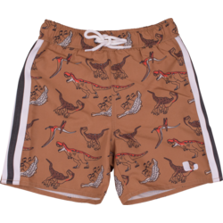 Dexter Beach Shorts - LIGHT BROWN Standard Small1x1