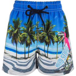 936595102101 ZIGZAG Dino Swimming Trunks  Standard Small1x1