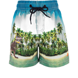 936595101101 ZIGZAG Dino Swimming Trunks  Standard Small1x1