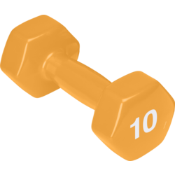 953738101101 SPRI Dumbbell Vinyl 4,5 Kg / 10 Lb  Standard Small1x1