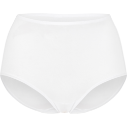 951181102101 SWEGMARK Essence Maxi Briefs Modal 951181102101 SWEGMARK Essence Maxi Briefs Modal Standard Small1x1