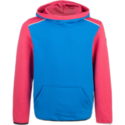 954271104101 ZIGZAG Fink Hooded Sweatshirt  Standard Small1x1