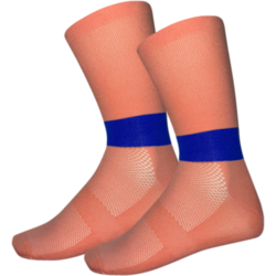 947789101101 SAVVYDAYS Focus 2p Functional Crew Socks  Standard Small1x1