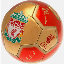 932514101101 FOCO Fotboll Liverpool 26 Signature  Standard Small1x1