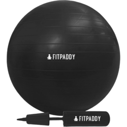 946815101101 FITPADDY Gym Ball  Standard Small1x1