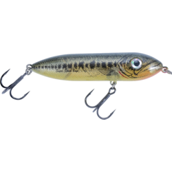 946529101101 HEDDON Heddon Super Spook Boyo 9,5g 7,5cm - Wounded Shad  Standard Small1x1