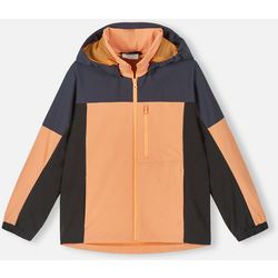 Jacka Valinta - APRICOT Standard Small1x1