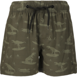954168101103 ZIGZAG Joseph Bathing Shorts  Standard Small1x1