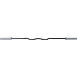 Master Fitness Curlbar Long