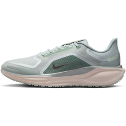 Men's Waterproof Road Running Shoes Pegasus 41 Gore-tex - LIGHT PUMICE/PURE PLATINUM/SILT RED/METALLIC SILVER Standard Small1x1