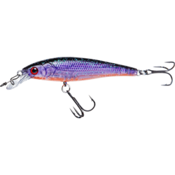 949560101101 RENZ-STEIN Renz-stein Beastly Minnow Finesse Junebug Shiner 7,5cm, 8g  Standard Small1x1