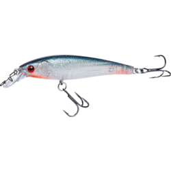 949579101101 RENZ-STEIN Renz-stein Beastly Minnow Finesse Shad 7,5cm, 8g  Standard Small1x1