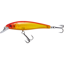 Renz-Stein Beastly Minnow Spicy 10cm, 12g