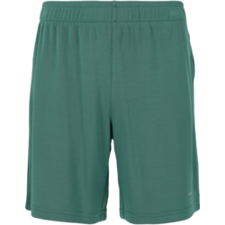 952867102101 ENDURANCE Sesto Jr. Shorts  Standard Small1x1