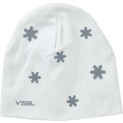 919719102101 VSBL Snöflinga  Standard Small1x1
