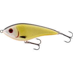 Westin Swim Glidebait 12cm 53g Suspending Official Roach