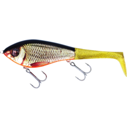 Westin Swim Tail 12cm 62g Suspending Real Rudd 1 Body 2 Tails